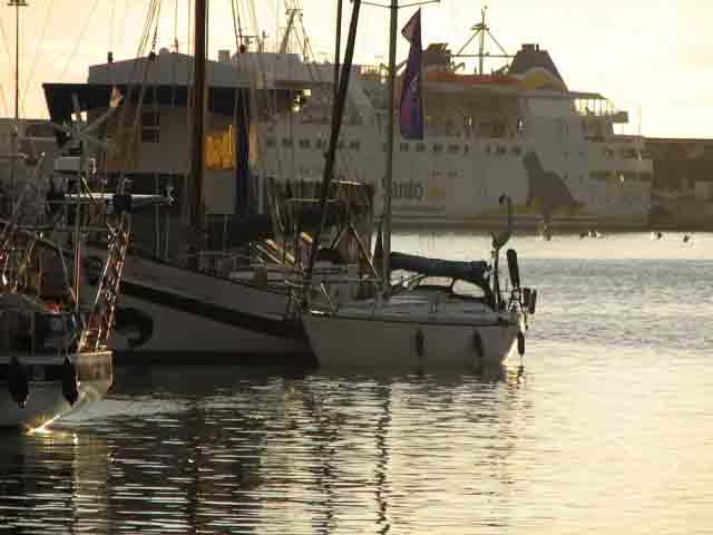 (Basile in Funchal, Madeira)